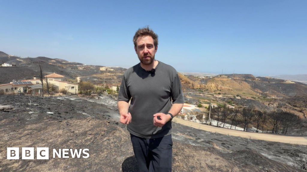 حرائق غابات في جنوب إسبانيا تقتل ١٢ شخصاً وتدمر منازل في قرية بيدار