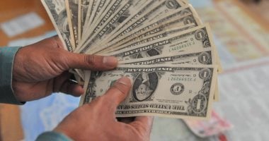 الشرطة المصرية تضبط 5 ملايين جنيه من العملة الأجنبية في حملة على السوق السوداء