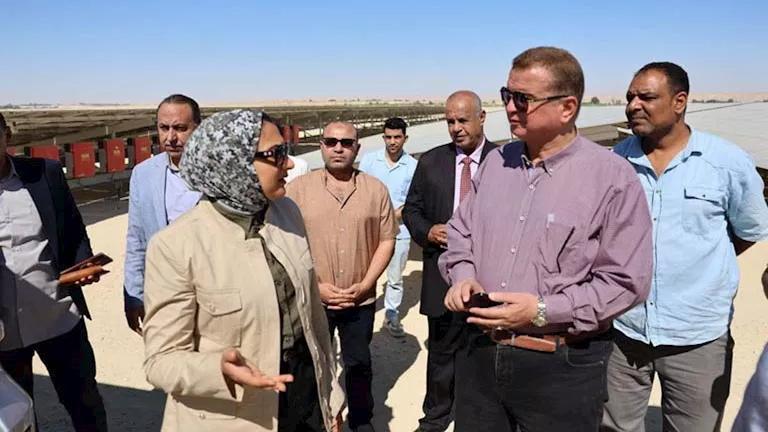 الوادي الجديد توسع الطاقة الشمسية بمحطة بقدرة 8 ميجاوات في الفرافرة