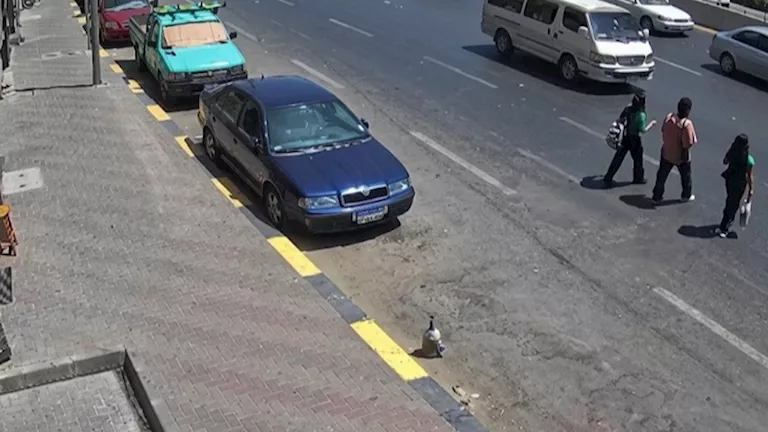 حافلة صغيرة تصدم فتاة في الإسكندرية وتثير دعوات لتركيب إشارة مرور