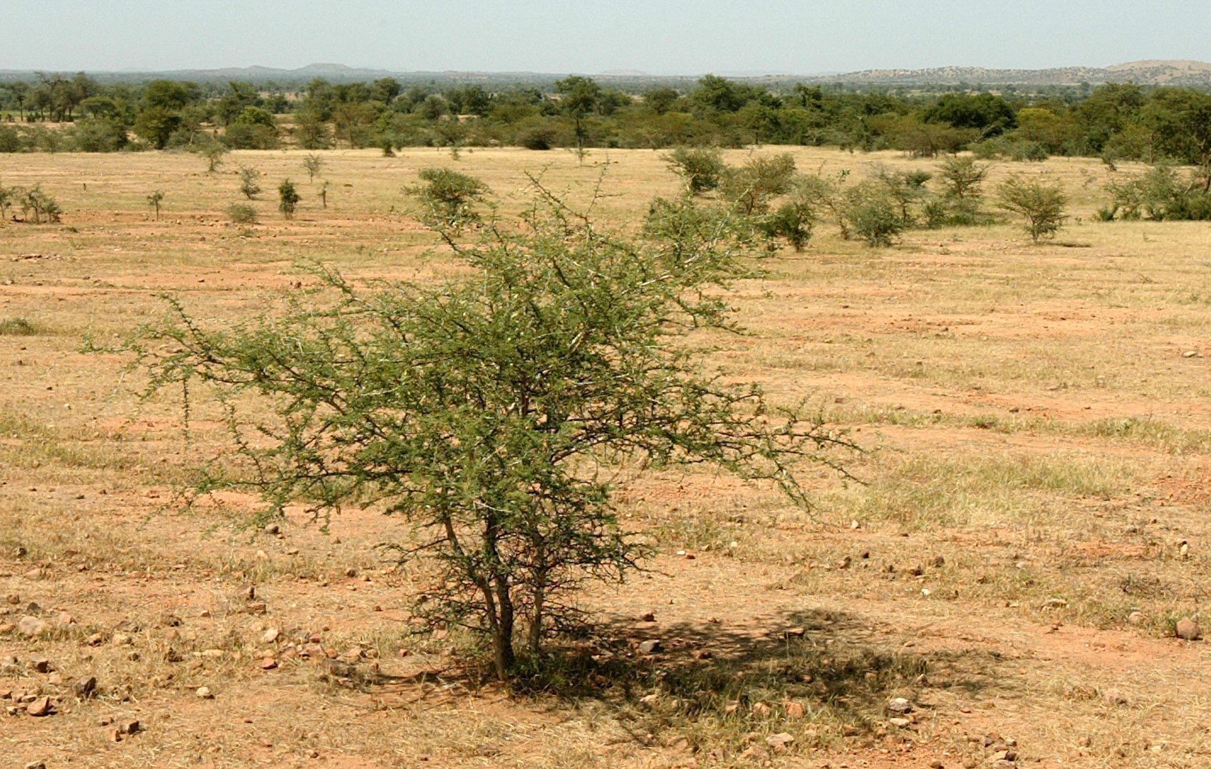 الأمم المتحدة تحذر الأطراف المتحاربة في السودان من استغلال الموارد لتمويل الحرب